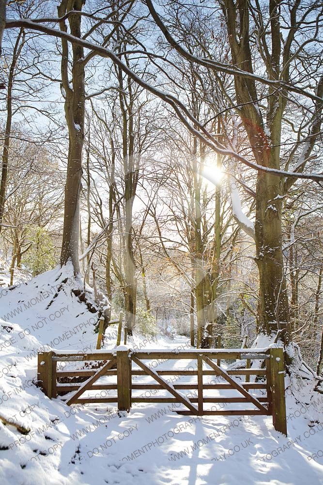 Quantock Hills winter snow