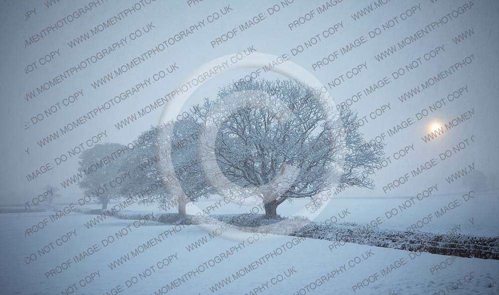 Quantock Hills Somerset