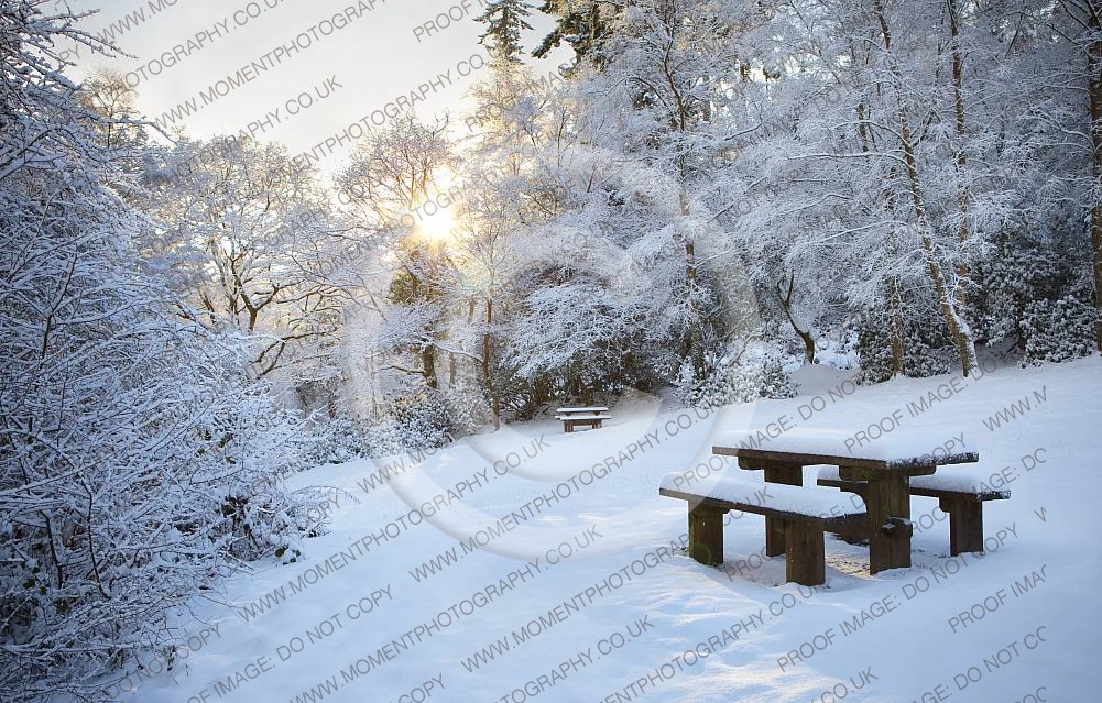 Quantock Hills Somerset