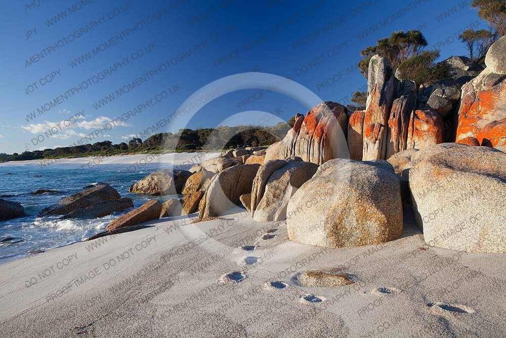 Bay Of Fires Tasmania Australia