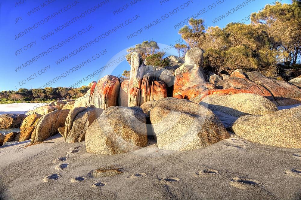 Bay Of Fires Tasmania Australia