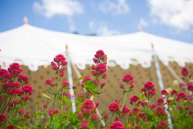 Wedding photography at Sheldon Manor for David & Joanne 4