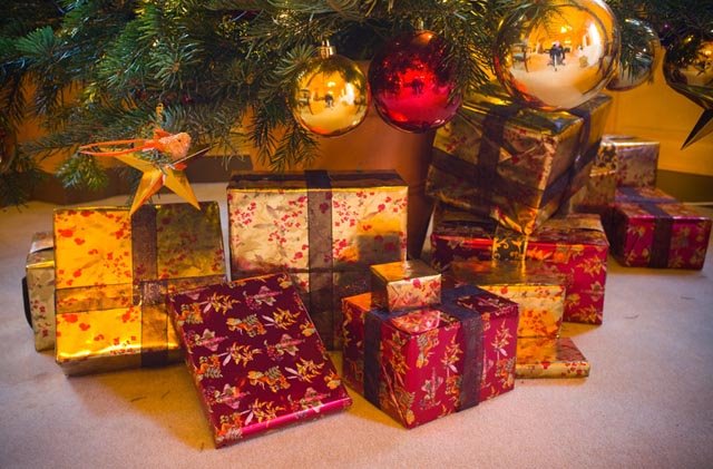 Halswell House Nocturnal Wedding fair 5