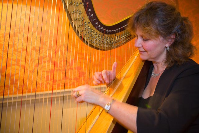 Halswell House Nocturnal Wedding fair 7