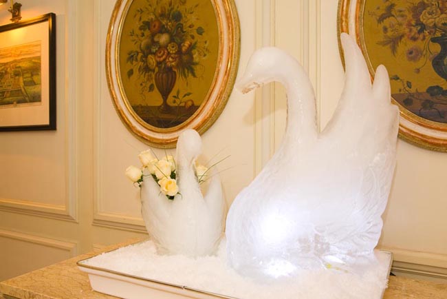 Halswell House Nocturnal Wedding fair 8