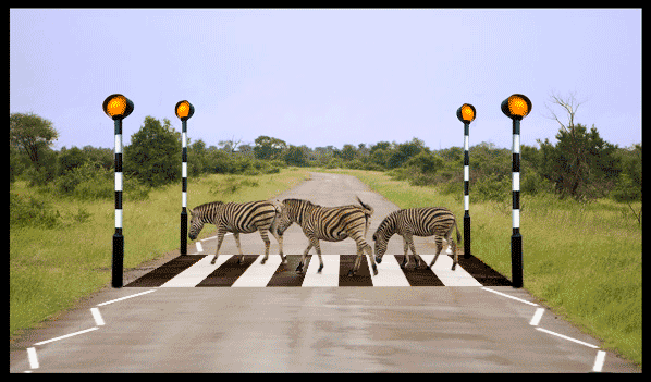 Photo manipulation fun 2 Photo manipulation fun 2