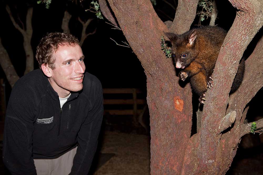 New Zealand and Australia holiday 14