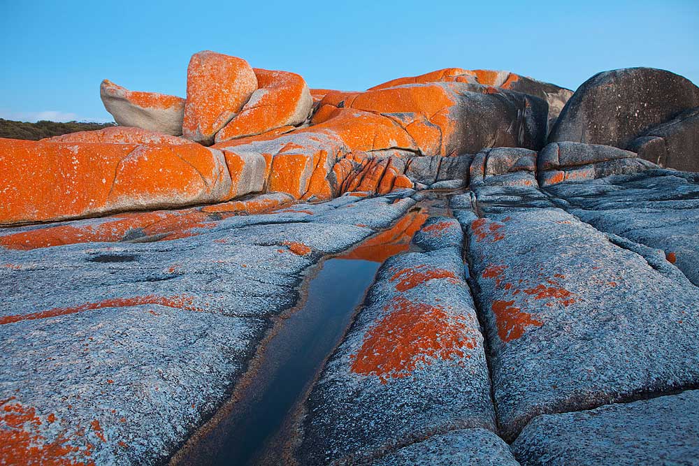 New Zealand and Australia holiday 10