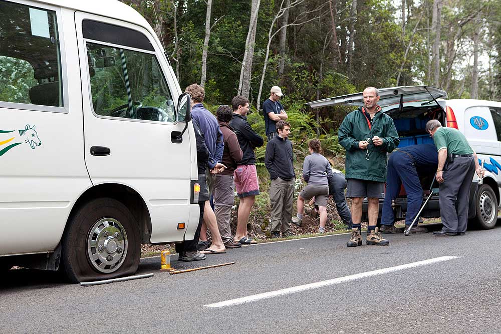 New Zealand and Australia holiday 6