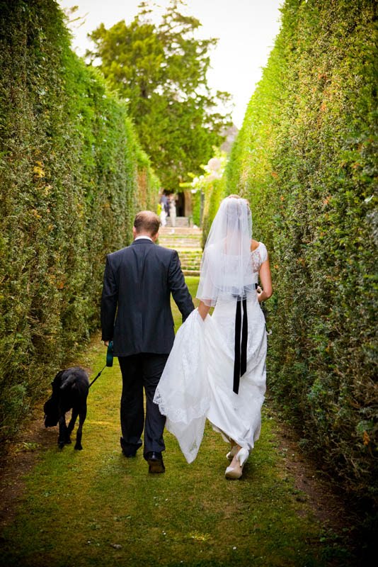 A bride and groom walk away down a gap between two large hedgerows at Sheldon Manor wedding venue in Chippenham