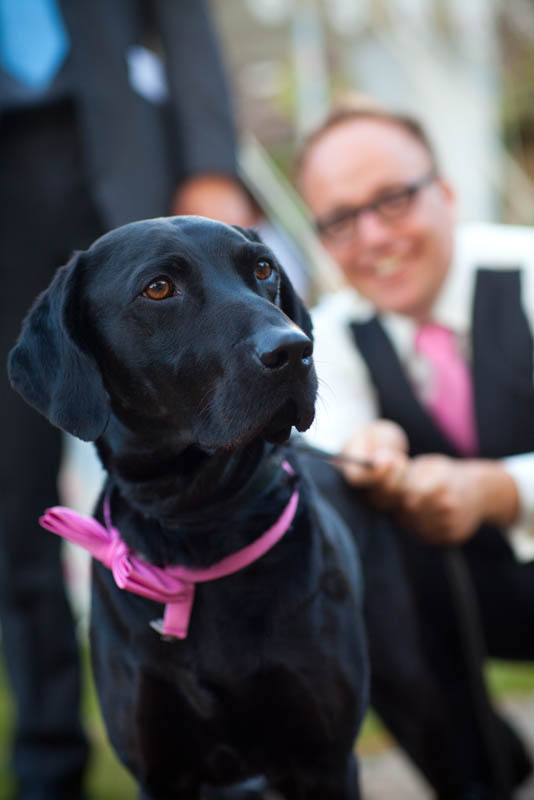 A groom hold on to the leash of his dog at his wedding at Sheldon Manor wedding venue in Chippenham