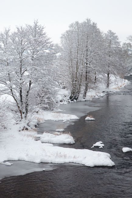 Exmoor winter photos 2