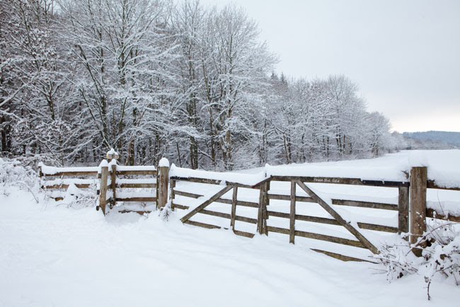 Exmoor winter photos 3