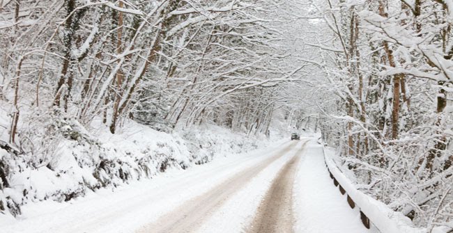 Exmoor winter photos 4