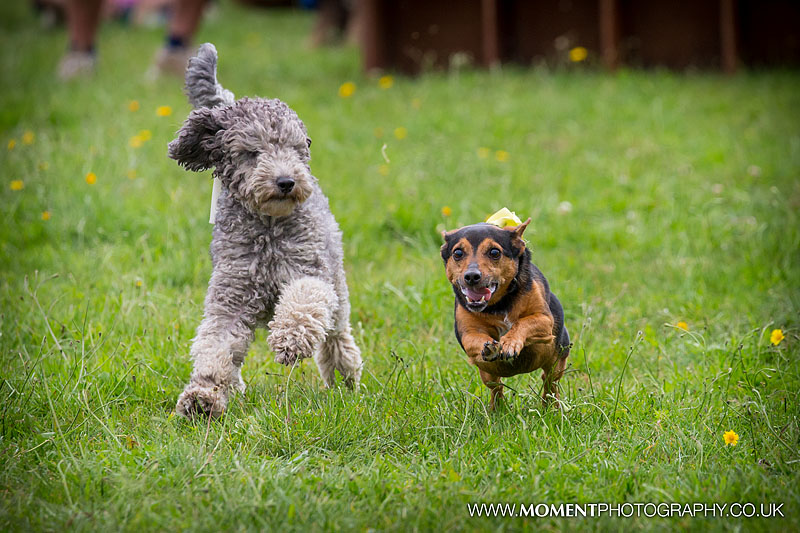 047 Moment Photography 31Jul16