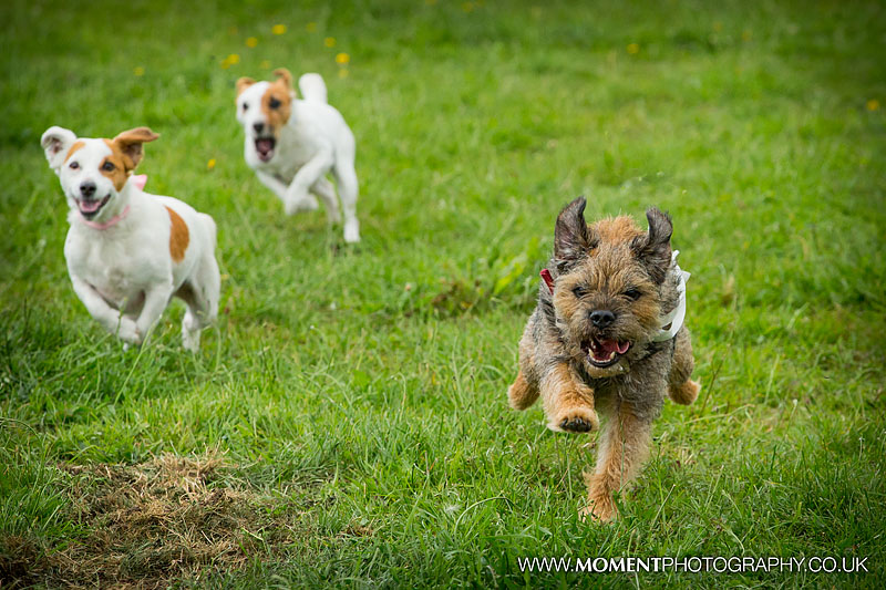 053 Moment Photography 31Jul16