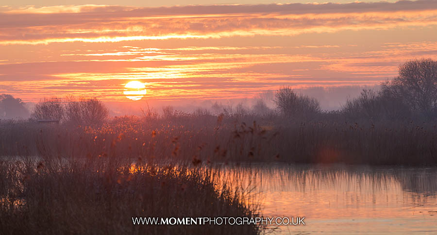 Sunrise at Ham Wall RSPB nature reserve