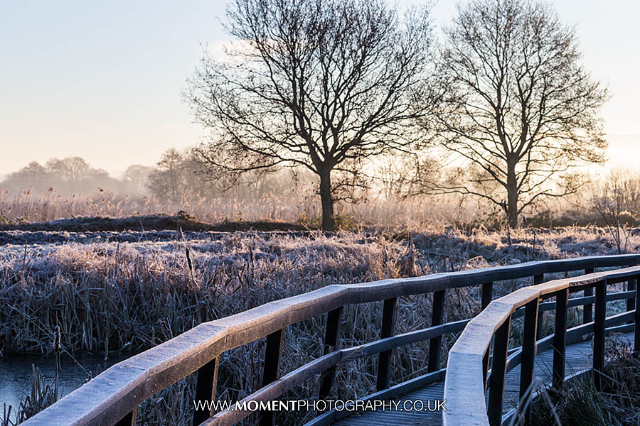 Frosty landscape at sunrise at Ham Wall RSPB nature reserve