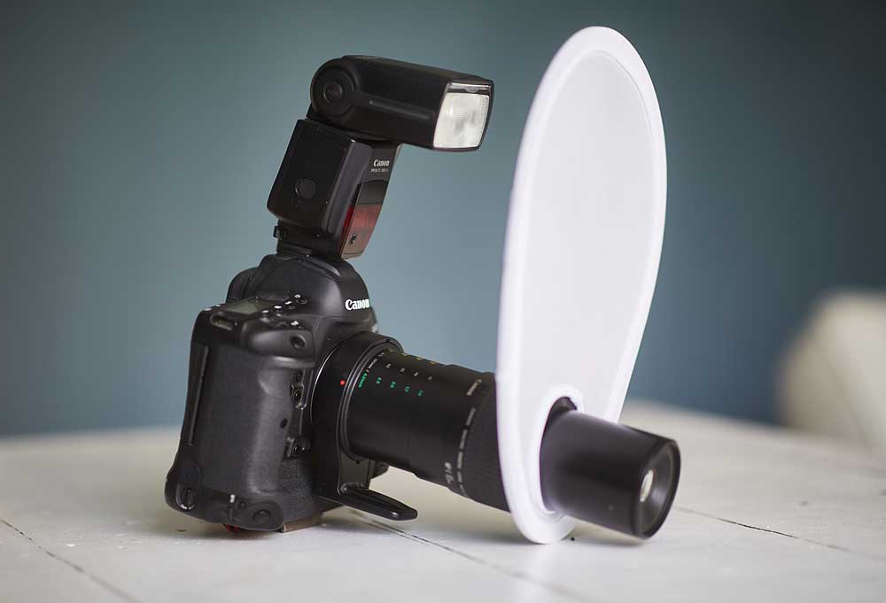 Macro photography adventures 46