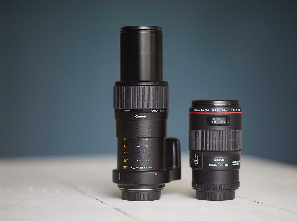 Macro photography adventures 1