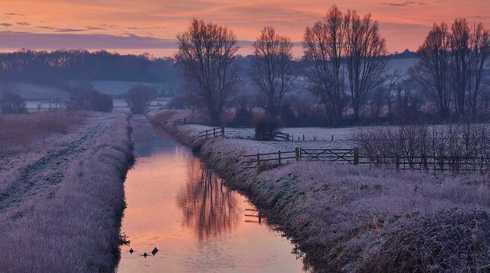 Landscape photography at Ham Wall RSPB 2