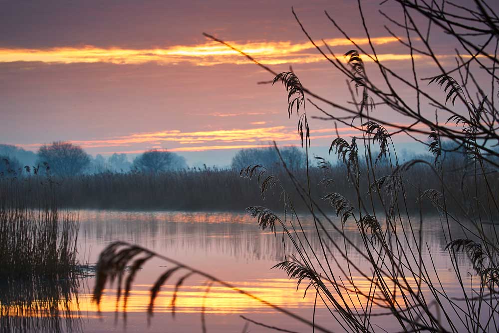 Landscape photography at Ham Wall RSPB 3